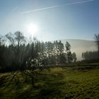 Morgenstimmung im Tal der Donau