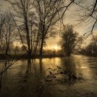 MORGENSTIMMUNG IM TAUBERTAL