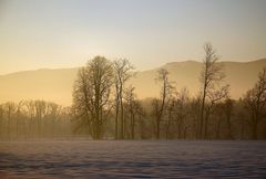 Morgenstimmung im Tegernseer Tal (reload)