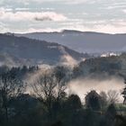 Morgenstimmung im Tiefenbachtal