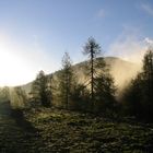 Morgenstimmung im Toten Gebirge