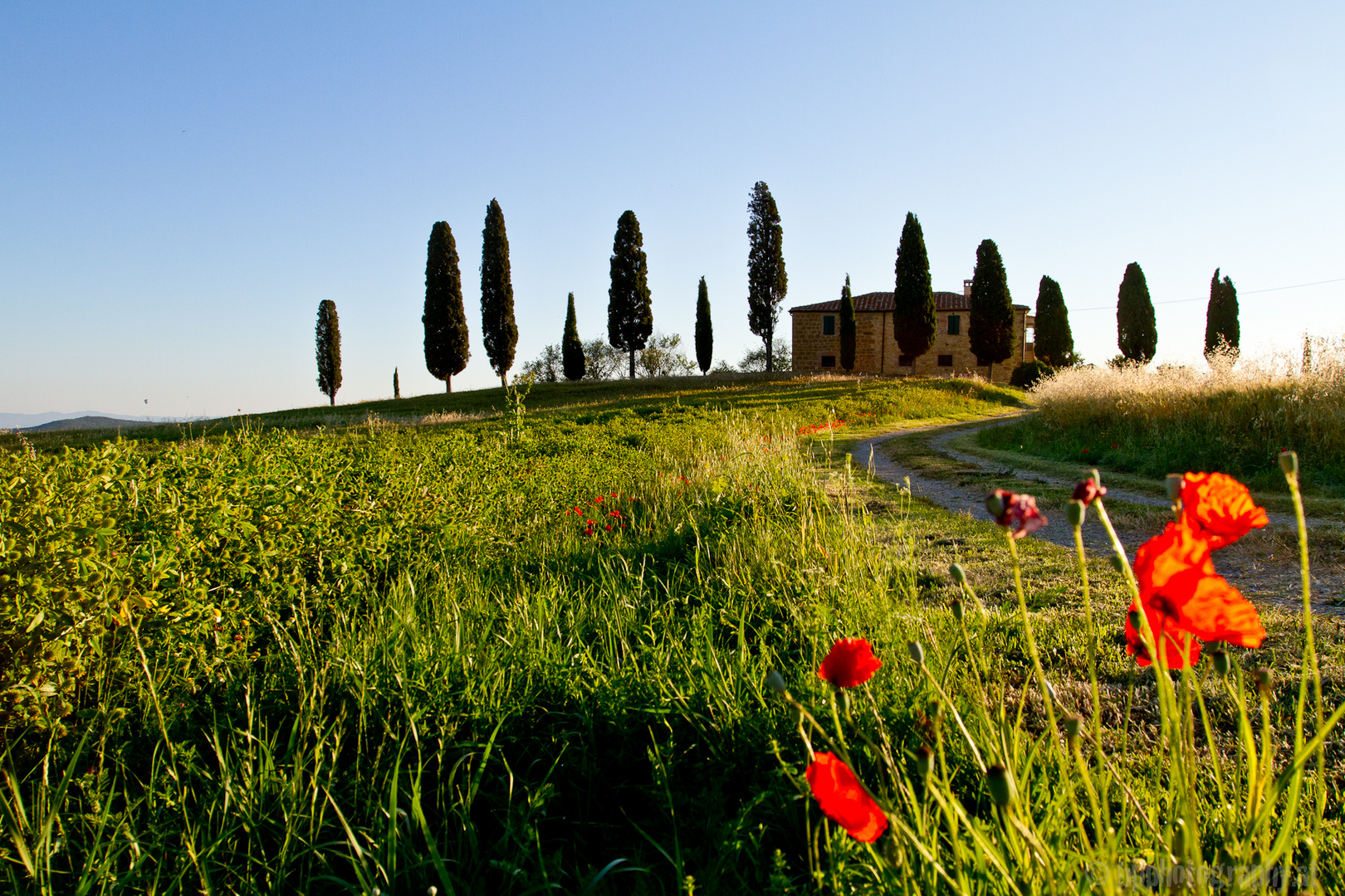 Morgenstimmung im Val d'orcia