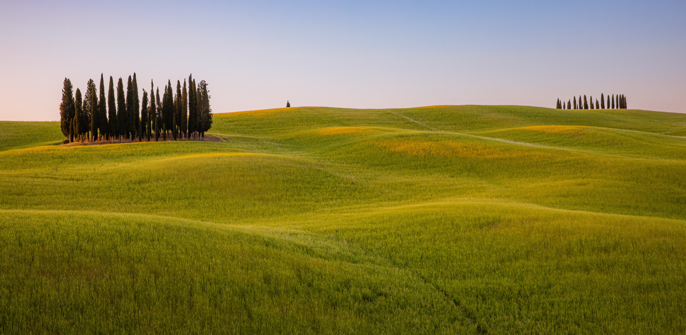 Morgenstimmung im Val d'Orcia