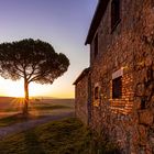 Morgenstimmung im Val d`Orcia