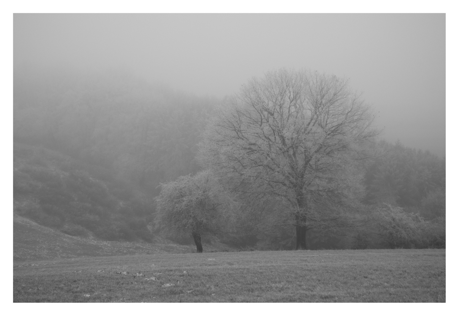 Morgenstimmung im Winter