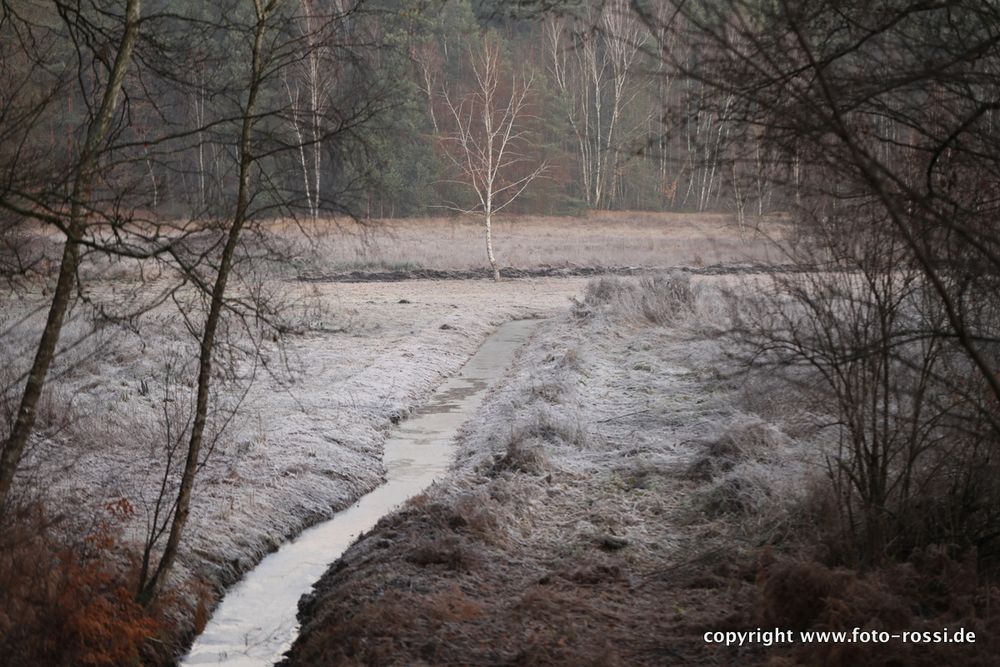 Morgenstimmung im Winter