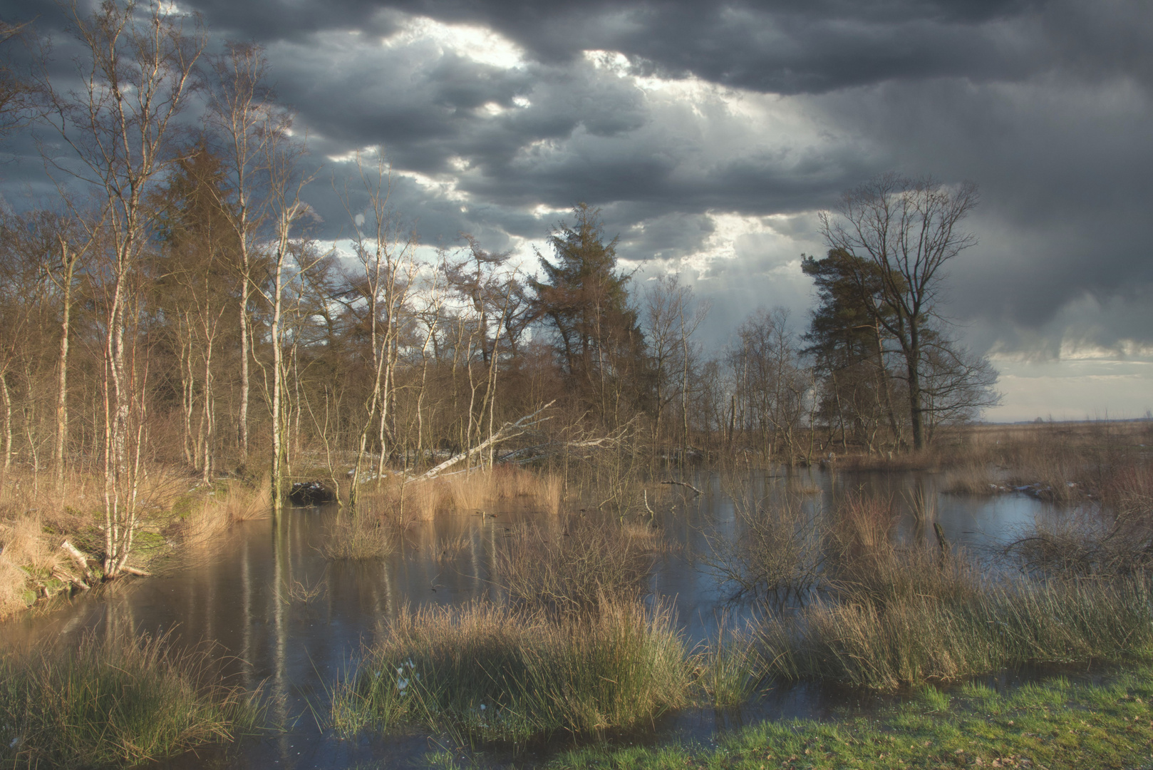 Morgenstimmung im winterlichen Moor