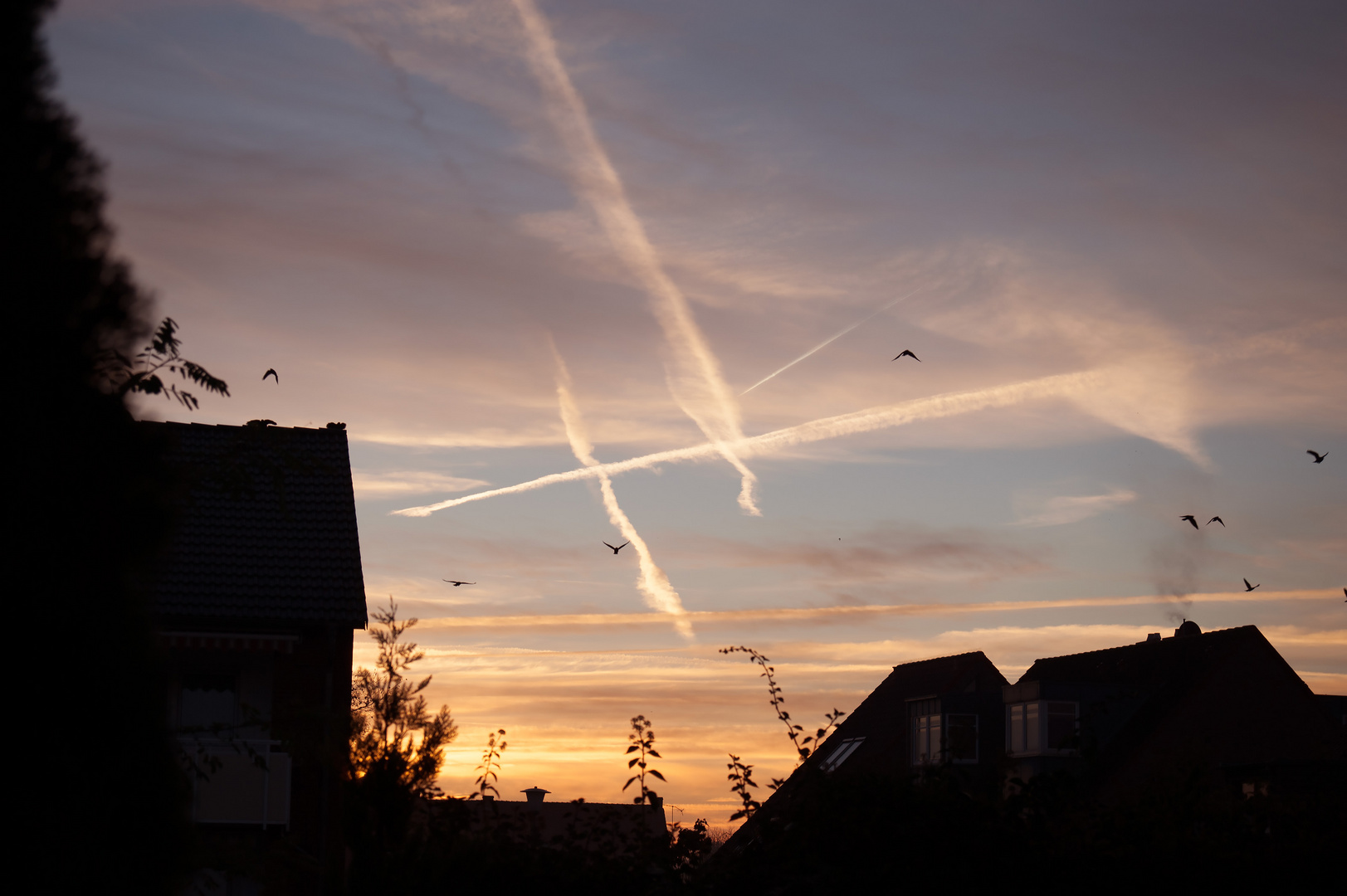 Morgenstimmung im Wohnviertel