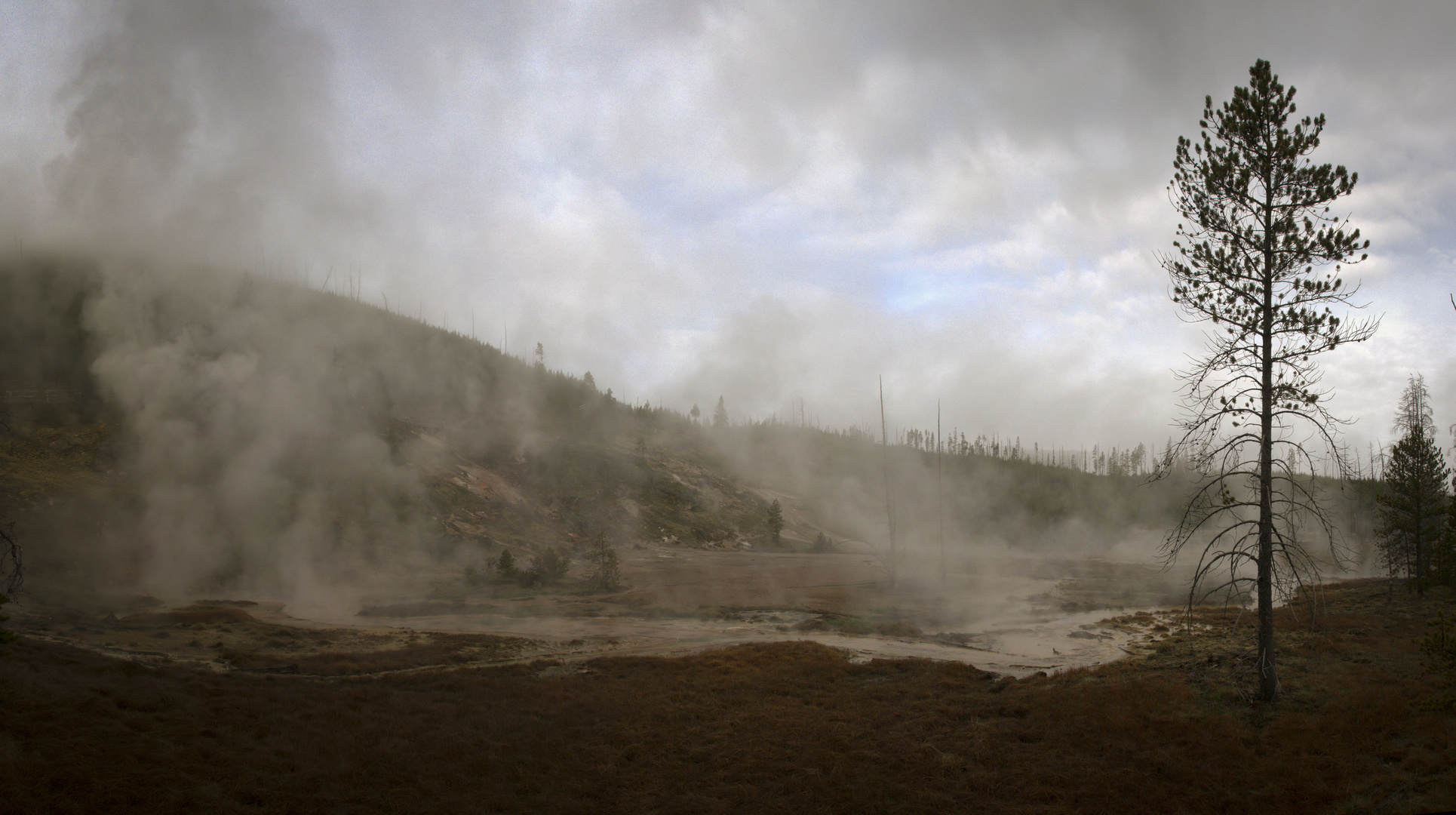 Morgenstimmung im Yellowstone Nationalpark