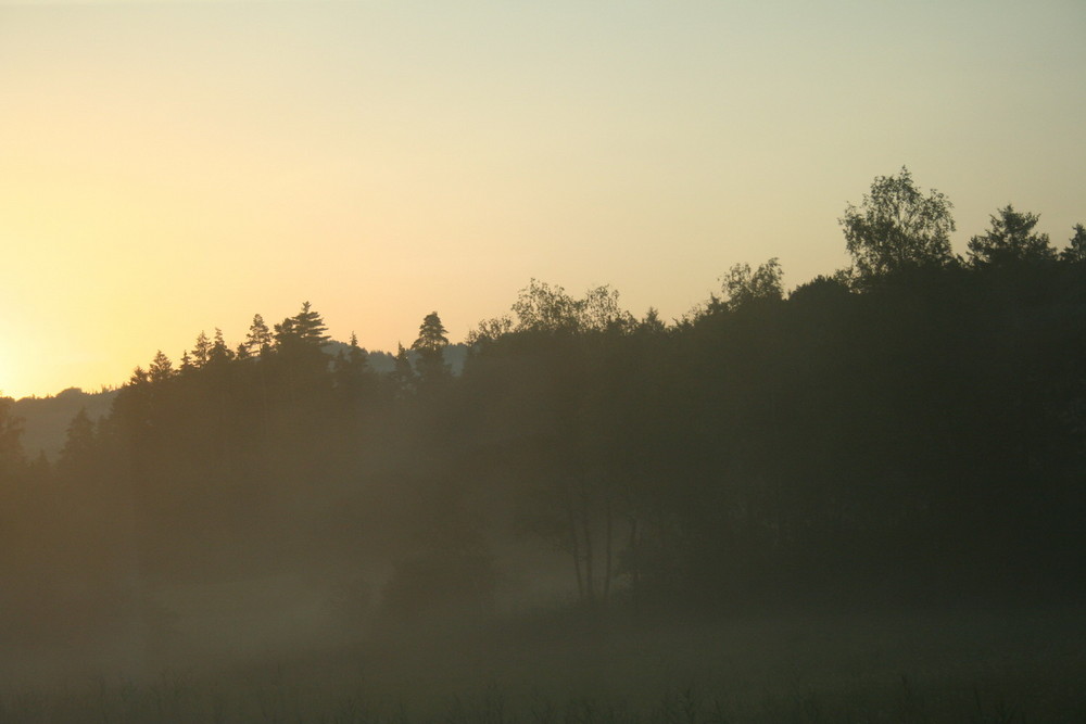 morgenstimmung im zürcher oberland