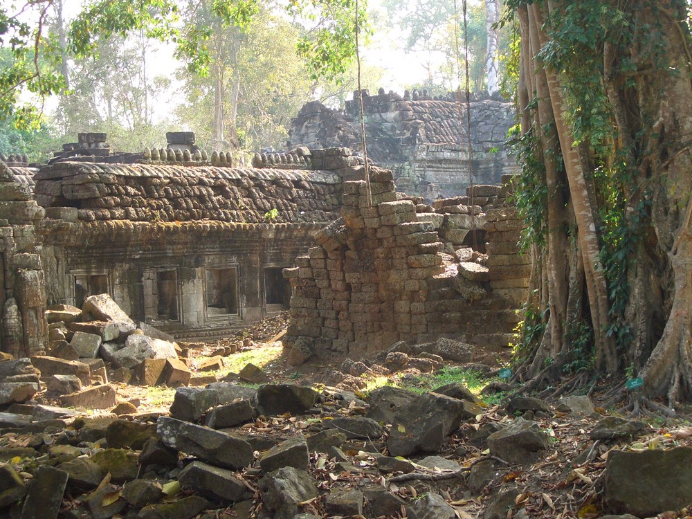 Morgenstimmung in Angkor Wat, Kambodscha von Phil1977 