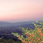 Morgenstimmung in Assisi