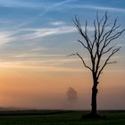 Morgenstimmung in Bayern