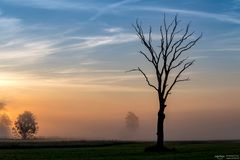 Morgenstimmung in Bayern