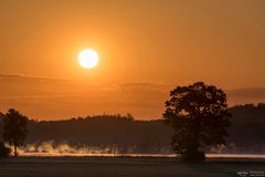 Morgenstimmung in Bayern