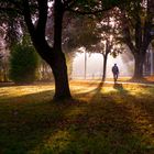 Morgenstimmung in Bern Bethlehem