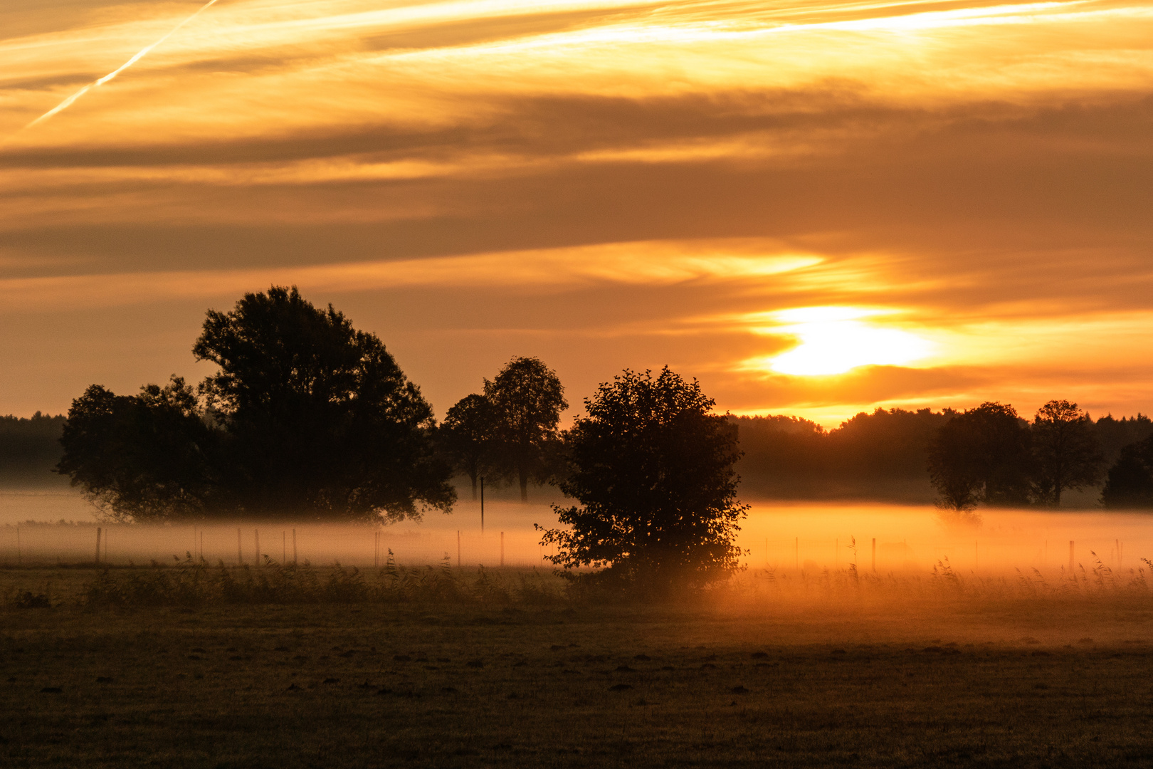 Morgenstimmung in Brandenburg