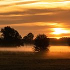 Morgenstimmung in Brandenburg