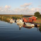 Morgenstimmung in Dänemark