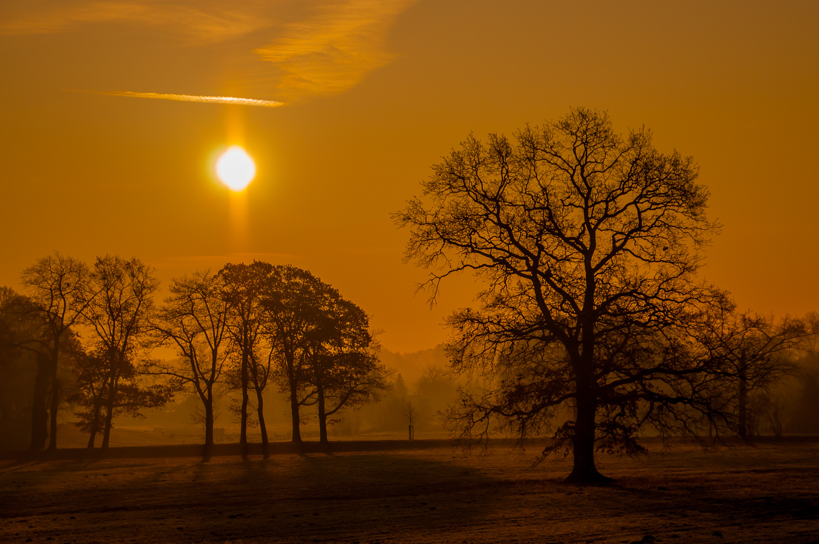 Morgenstimmung in Dahlen