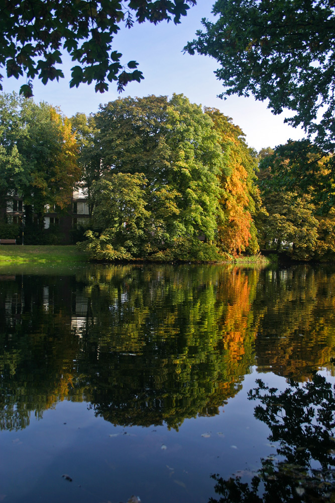 Morgenstimmung in den Bremer Wallanlagen