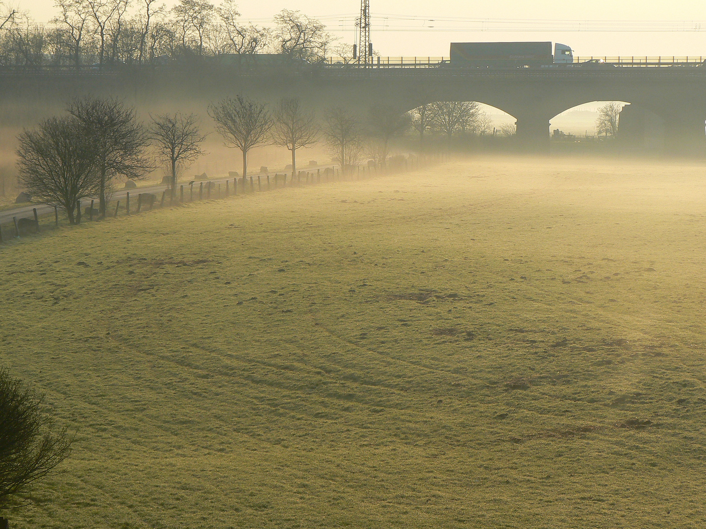 Morgenstimmung in den Duisburger Ruhrauen