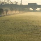 Morgenstimmung in den Duisburger Ruhrauen