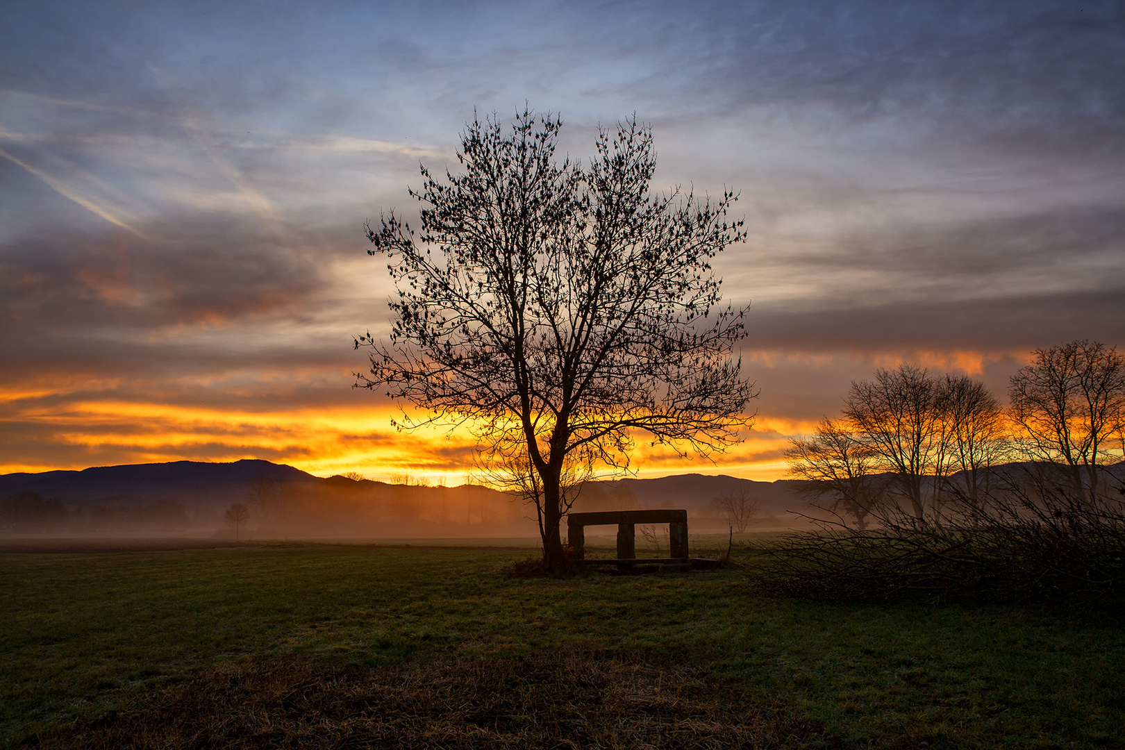 Morgenstimmung in den Elzwiesen