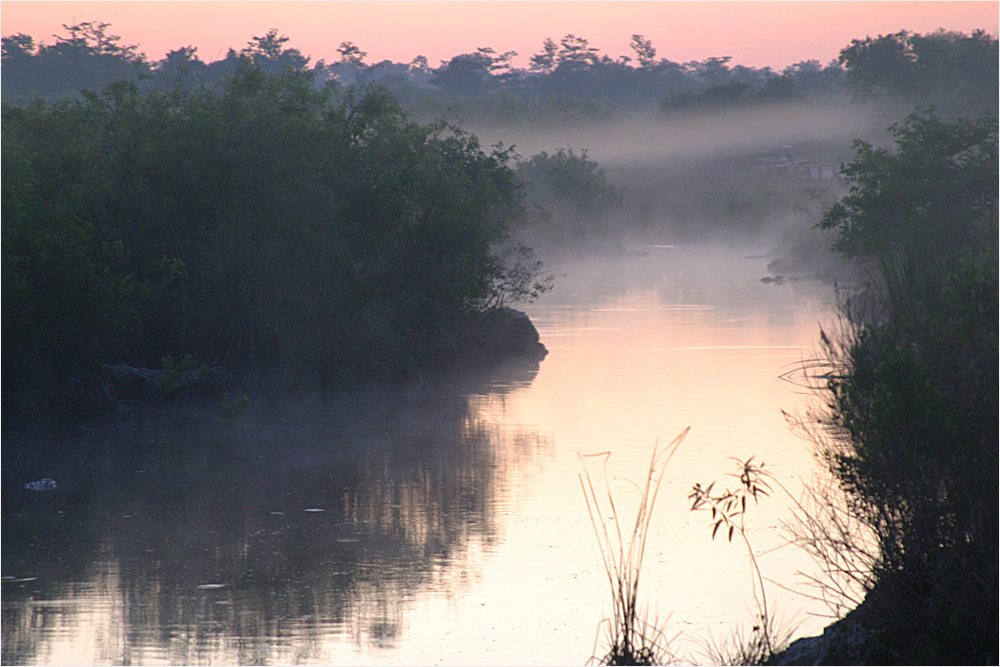 Morgenstimmung in den Everglades