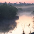 Morgenstimmung in den Everglades
