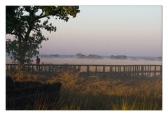 Morgenstimmung in den Plains