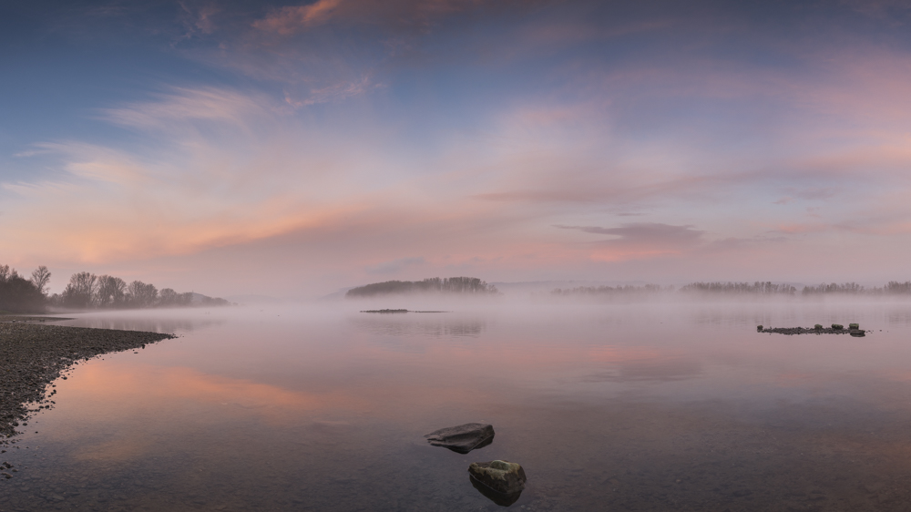 Morgenstimmung in den Rheinauen