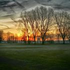 Morgenstimmung in den Rheinauen, Köln