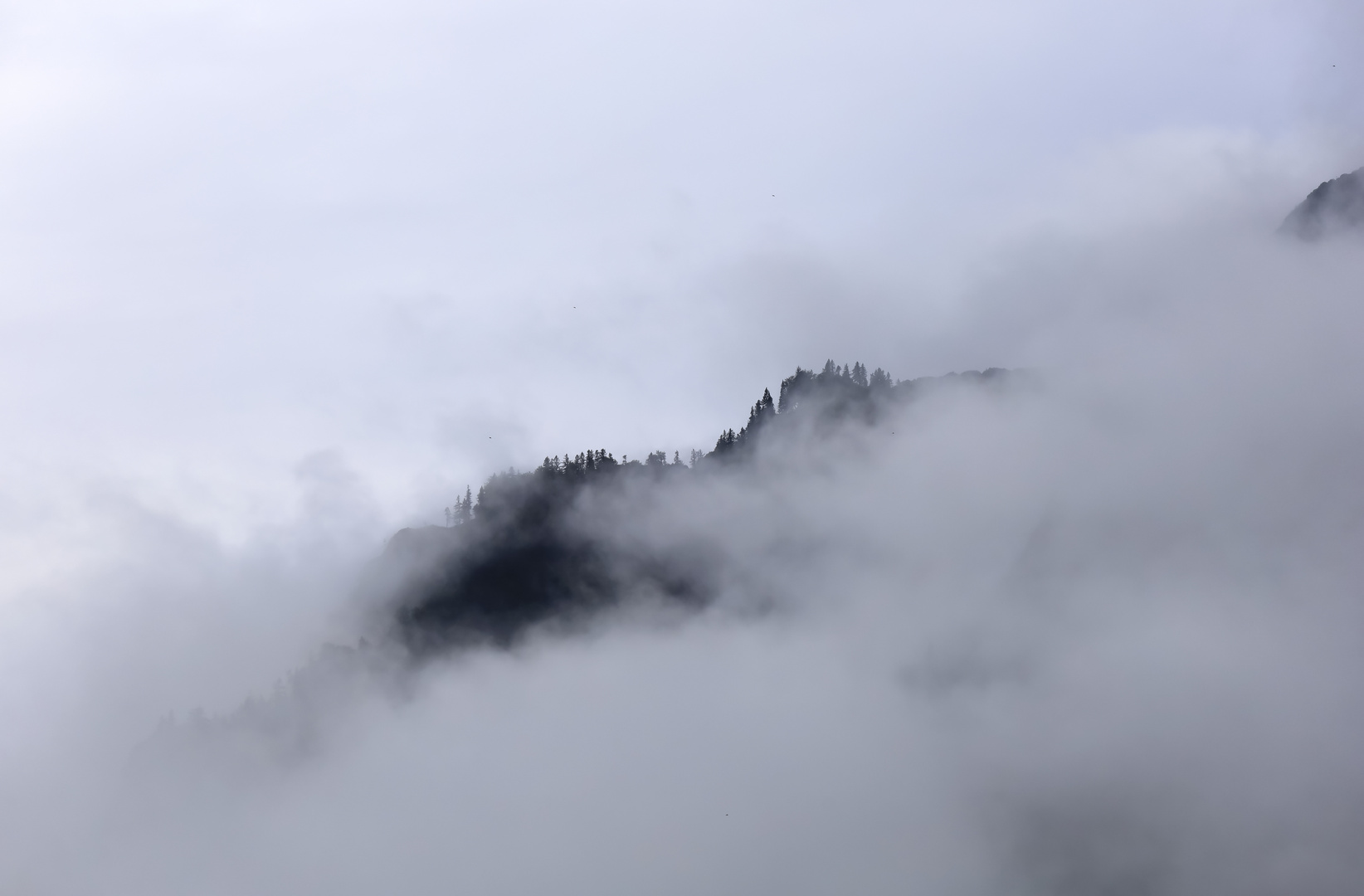 Morgenstimmung in den Voralpen