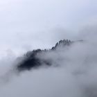 Morgenstimmung in den Voralpen