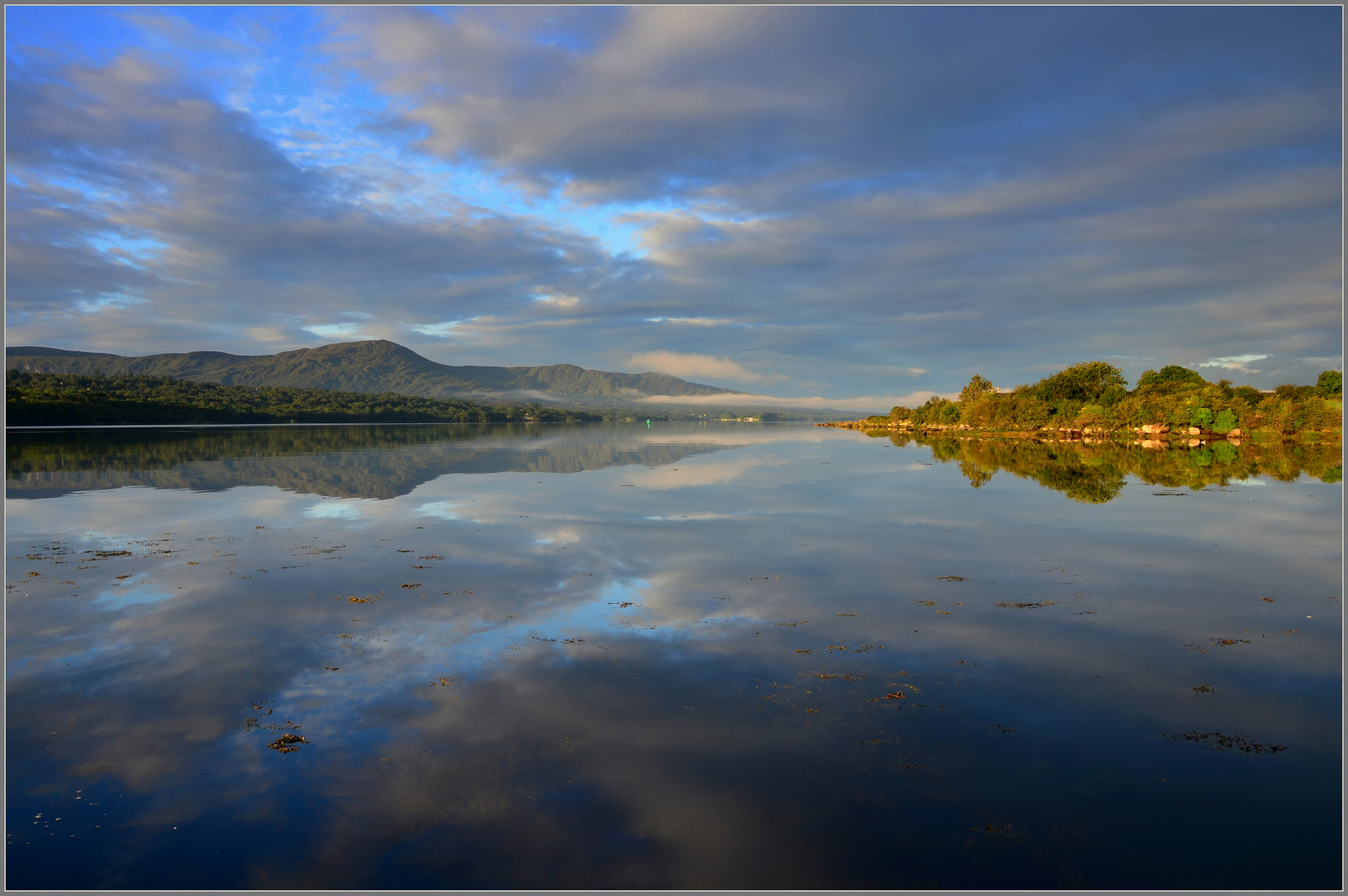 Morgenstimmung in der Bucht von Kenmare