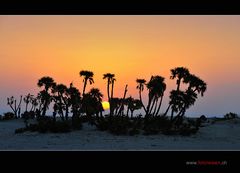 Morgenstimmung in der Danakil