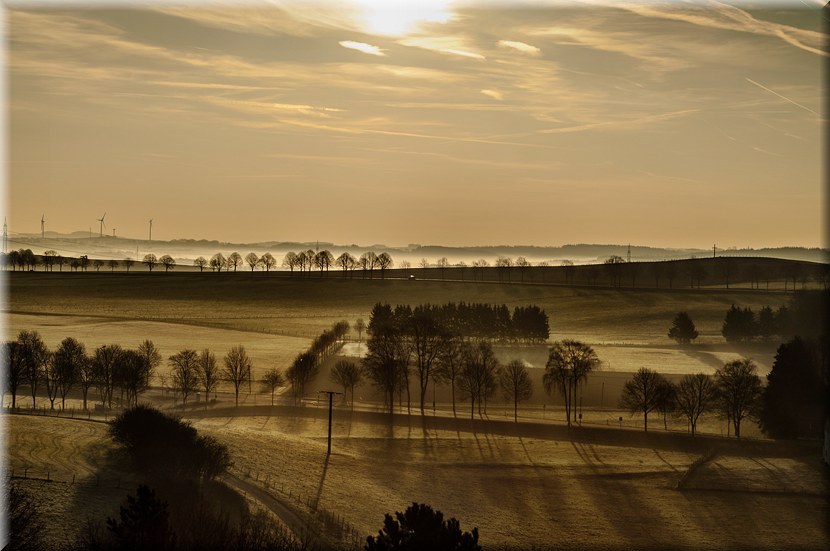 Morgenstimmung in der Eifel