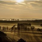 Morgenstimmung in der Eifel