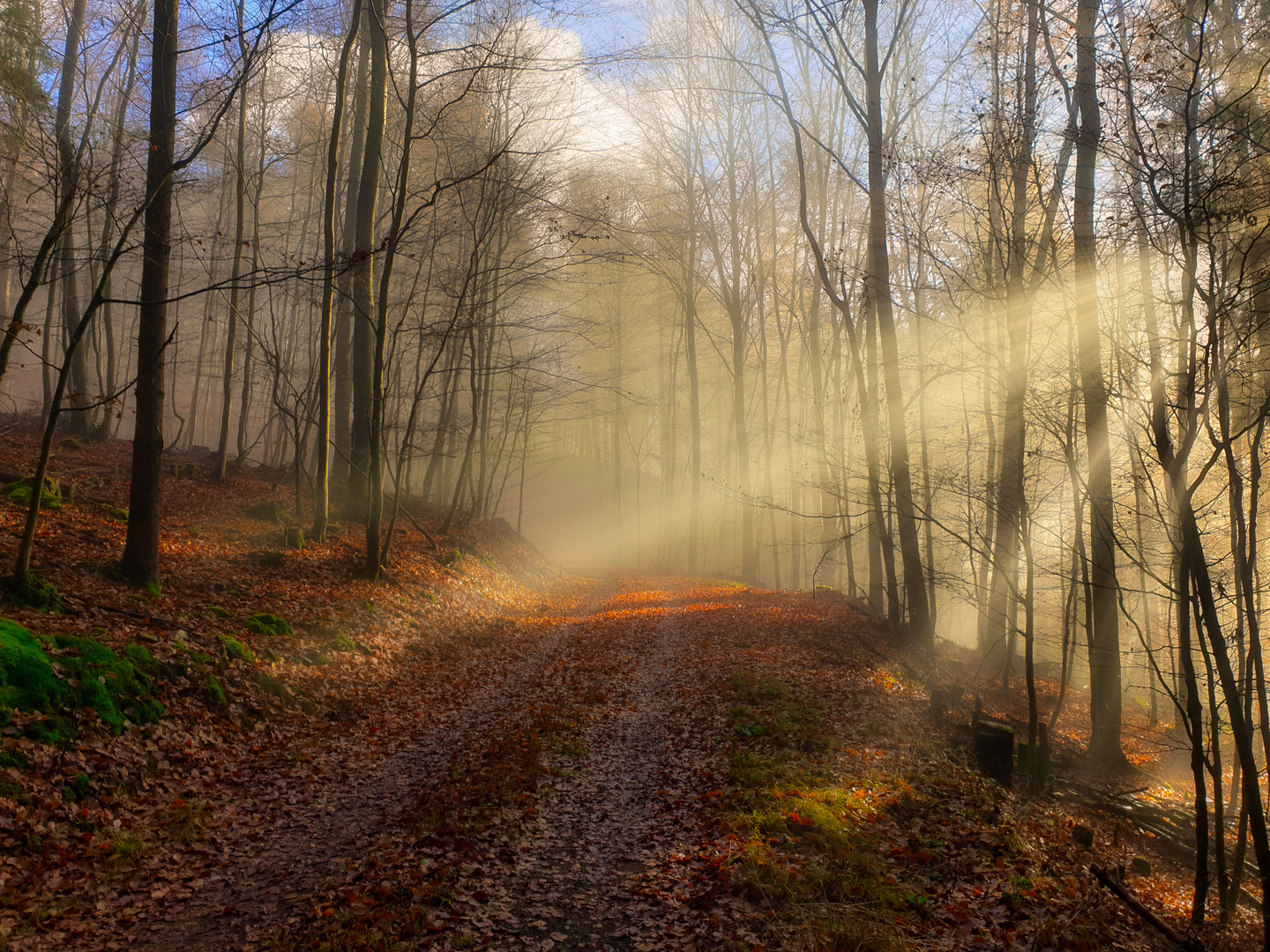 Morgenstimmung In der Eifel 2019