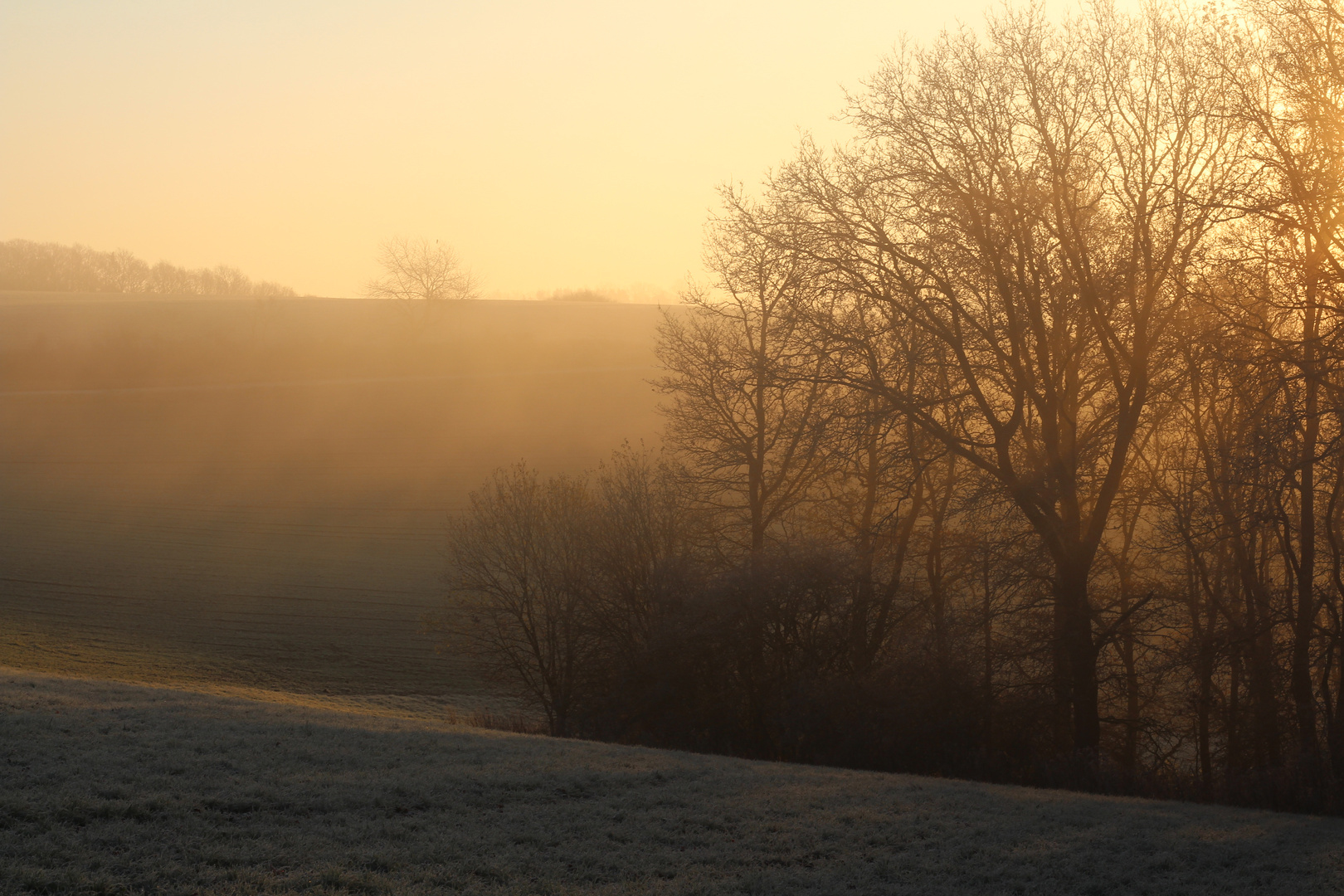 Morgenstimmung in der Eifel