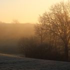 Morgenstimmung in der Eifel