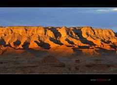 Morgenstimmung in der Gobi