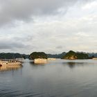 Morgenstimmung in der Halong Bucht 02