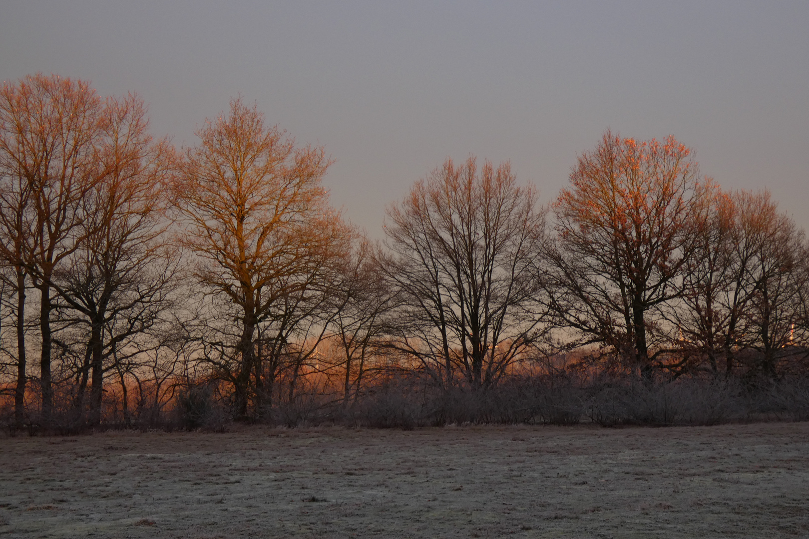 Morgenstimmung in der Hammer Lippeaue