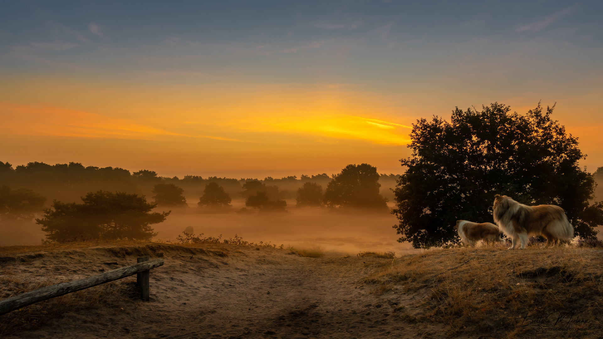 Morgenstimmung in der Heide beim Spaziergang