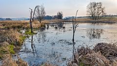 Morgenstimmung in der Horloff-Aue bei Trais-Horloff (Wetterau)