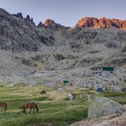 Morgenstimmung in der Laguna Grande, Sierra de Gredos