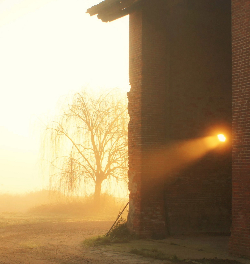 Morgenstimmung in der Lombardei