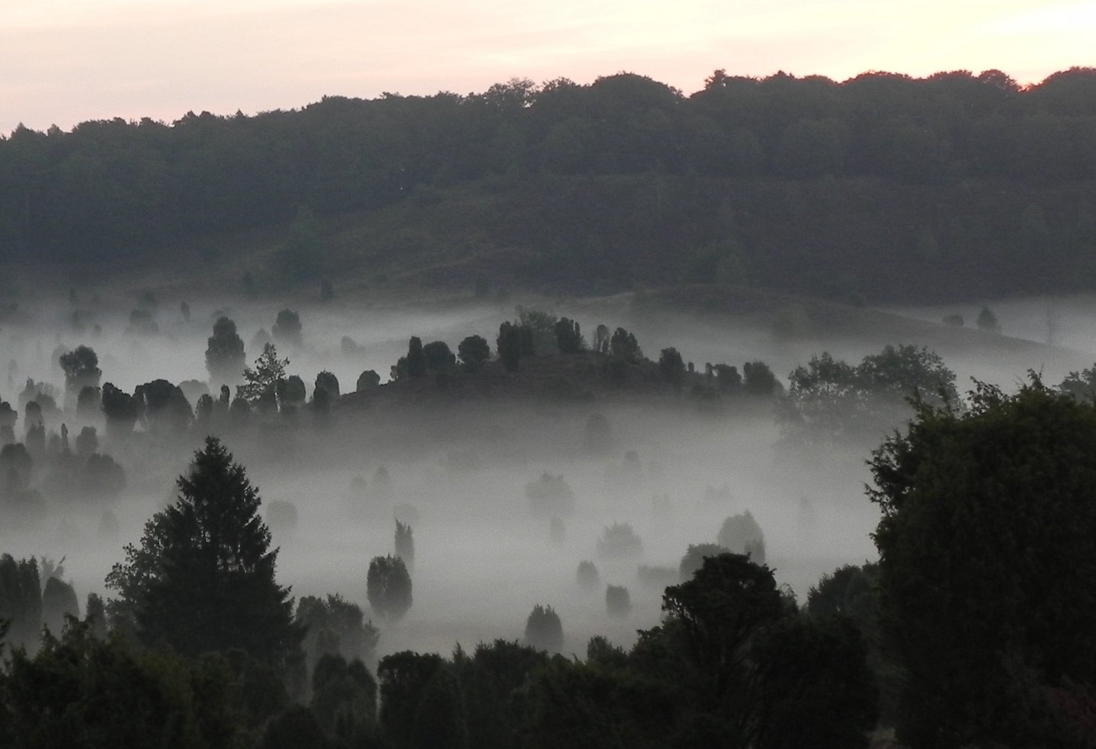 Morgenstimmung in der Lüneburger Heide (1)